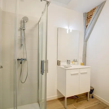Appartement La - A L Ombre Des Vieilles Poutres Tours
