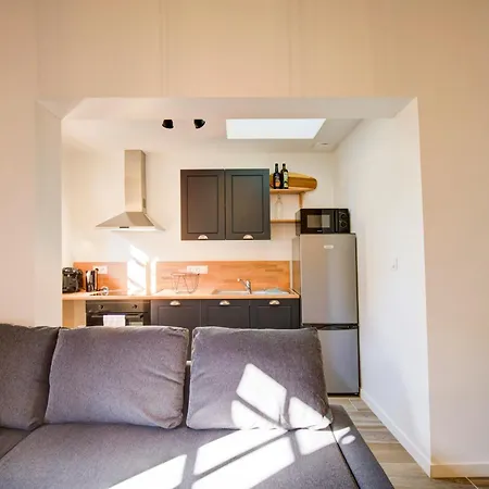 Apartment La - A L Ombre Des Vieilles Poutres Tours