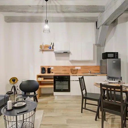 Apartment La - A L Ombre Des Vieilles Poutres Tours