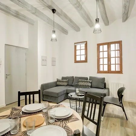 La - A L Ombre Des Vieilles Poutres Appartement Tours