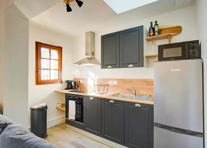 La - A L Ombre Des Vieilles Poutres Appartement *