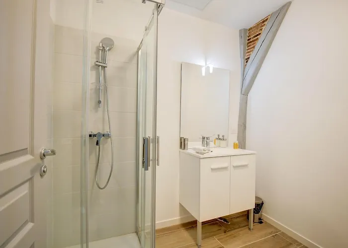 Appartement La - A L Ombre Des Vieilles Poutres Tours