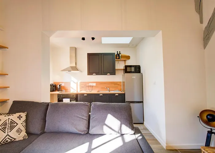 Appartement La - A L Ombre Des Vieilles Poutres Tours