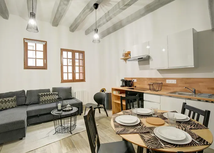 La - A L Ombre Des Vieilles Poutres Appartement Tours