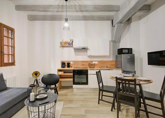 Appartement La - A L Ombre Des Vieilles Poutres Tours